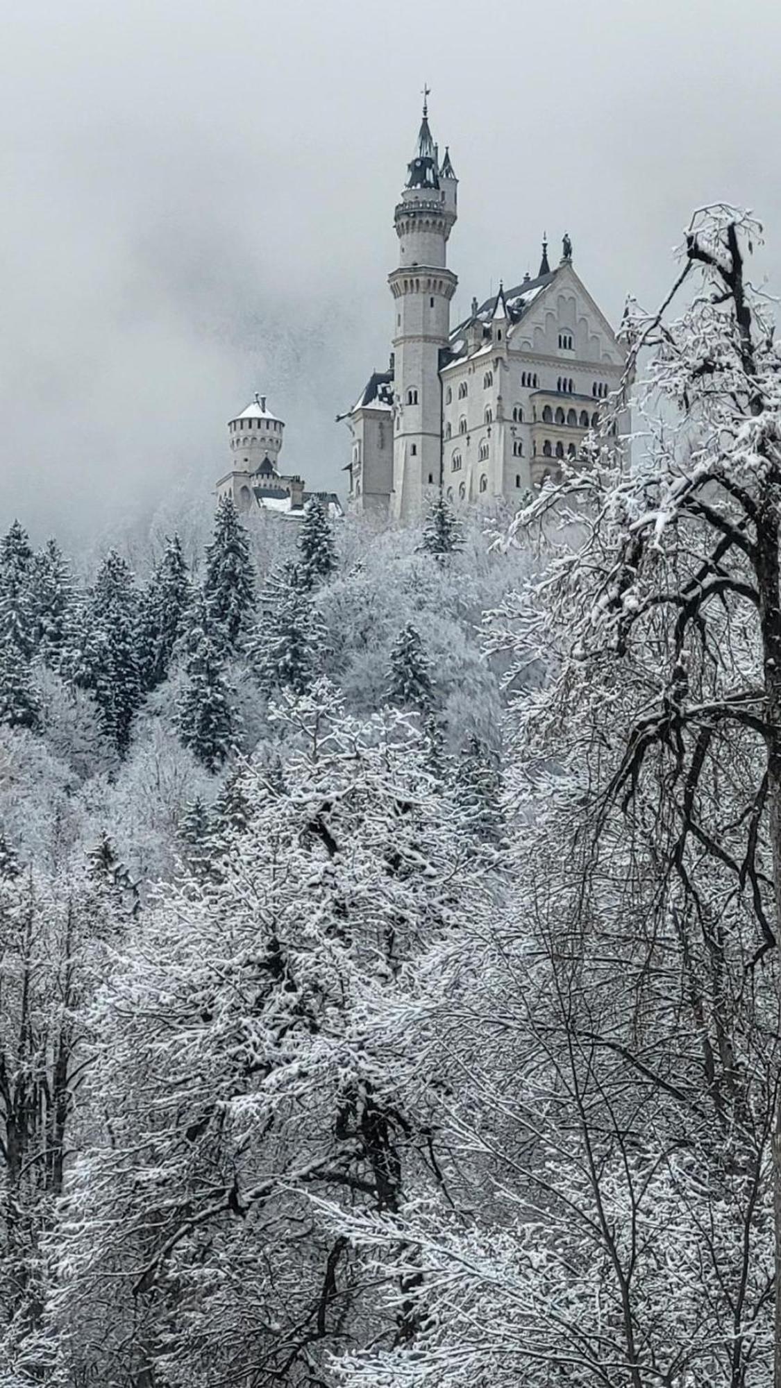 House La Neuschwanstein Blick - Budget City Hotel Fussen Exterior photo